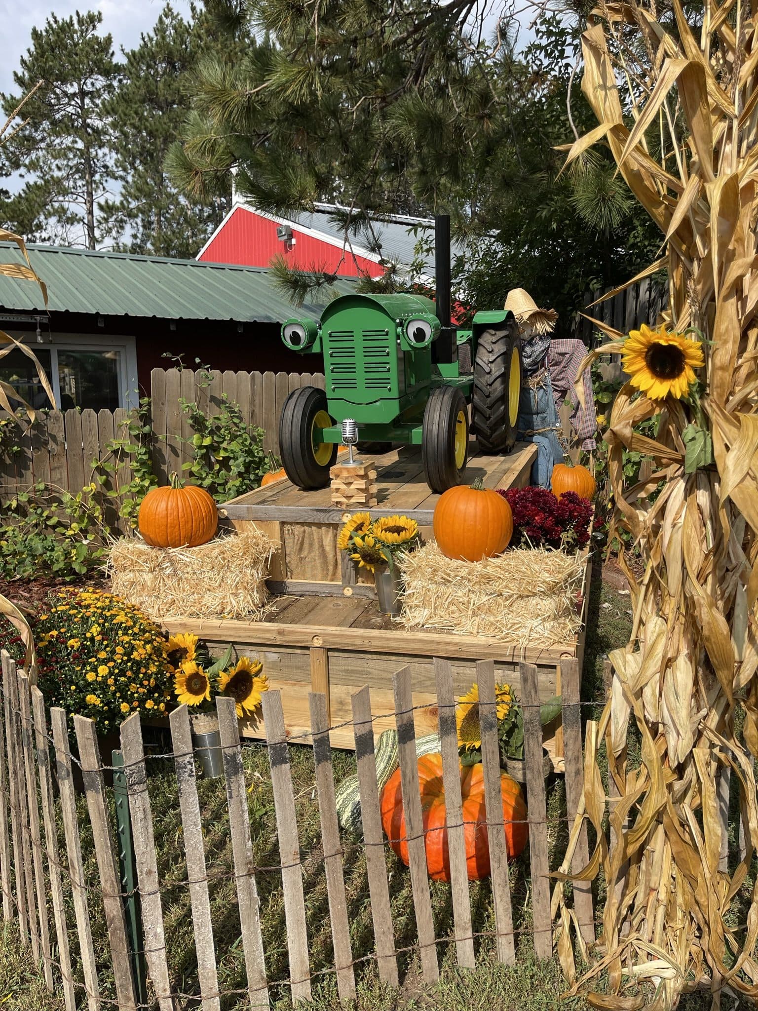 Zack the Tractor at Pinehaven Farm